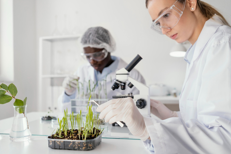 Phenotyping